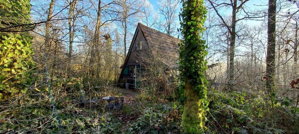 Het Boshuisje In Durbuy Villa Exteriör bild