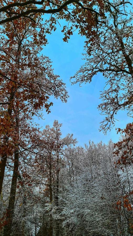 Het Boshuisje In Durbuy Villa Exteriör bild