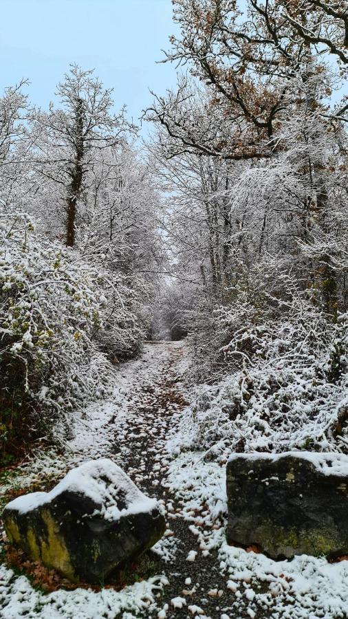 Het Boshuisje In Durbuy Villa Exteriör bild