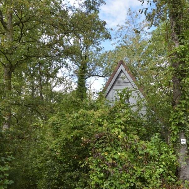 Het Boshuisje In Durbuy Villa Exteriör bild