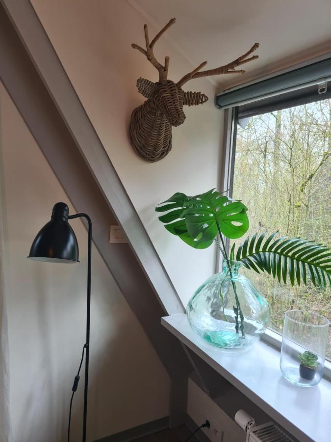 Het Boshuisje In Durbuy Villa Exteriör bild