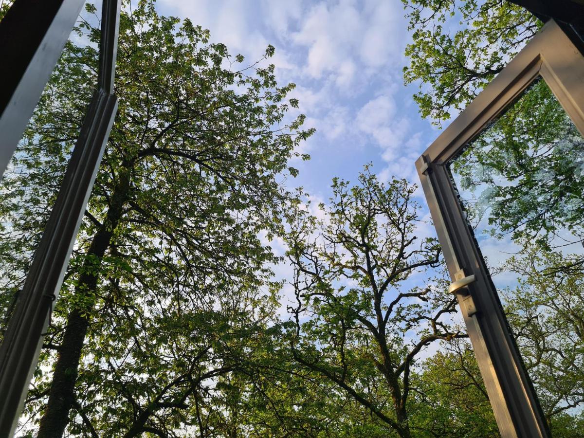 Het Boshuisje In Durbuy Villa Exteriör bild